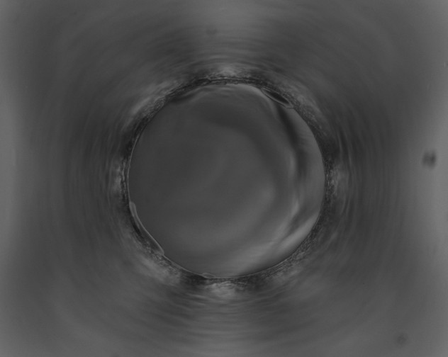 X0000091210423200708231612