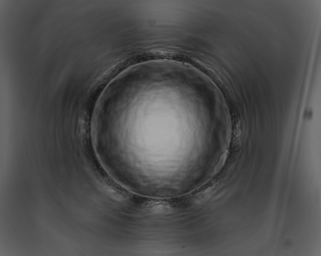 X0000091210424200708231612