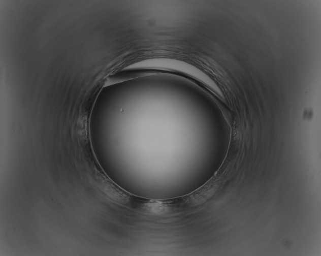 X0000091210425200708231612