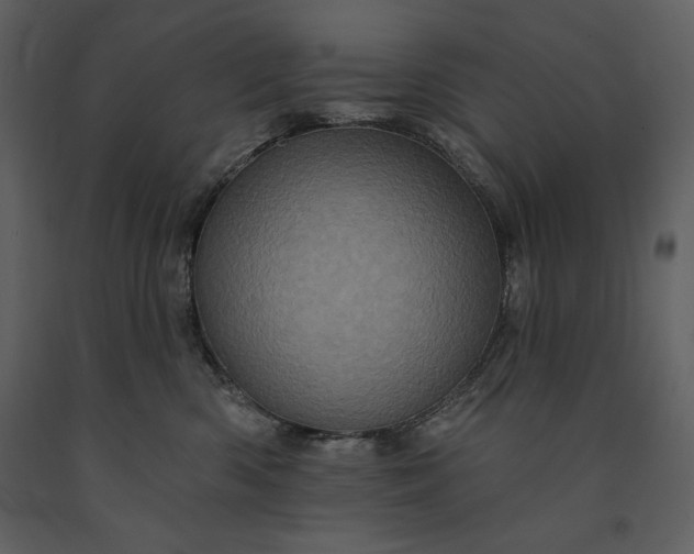 X0000091210426200708231612