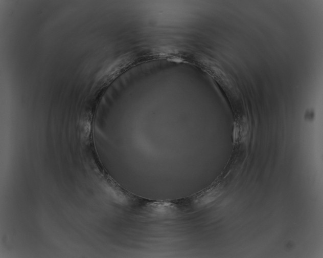 X0000091210427200708231612