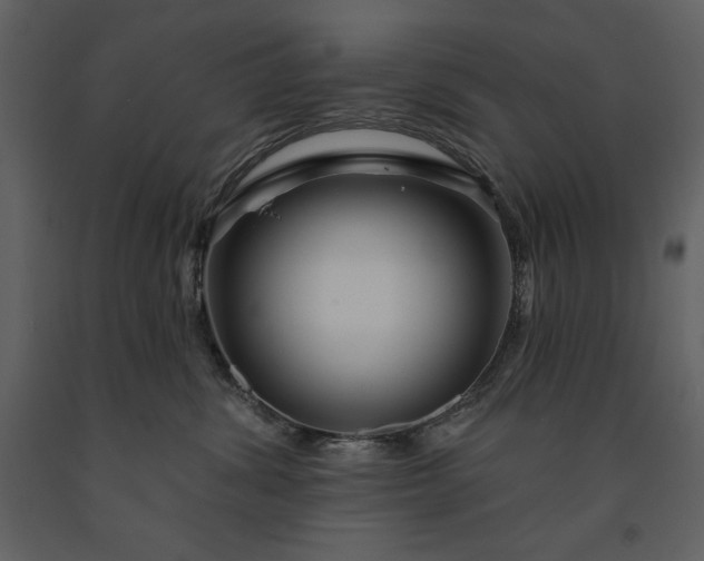 X0000091210428200708231612