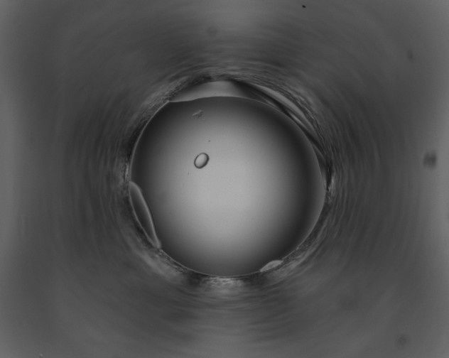 X0000091210429200708231612