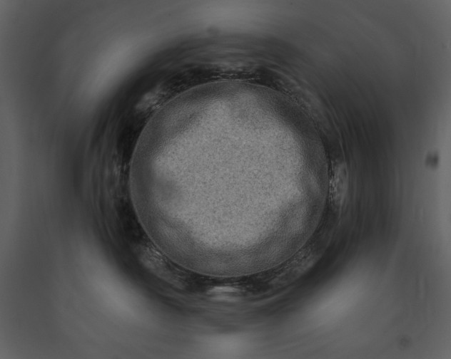 X0000091210430200708231612