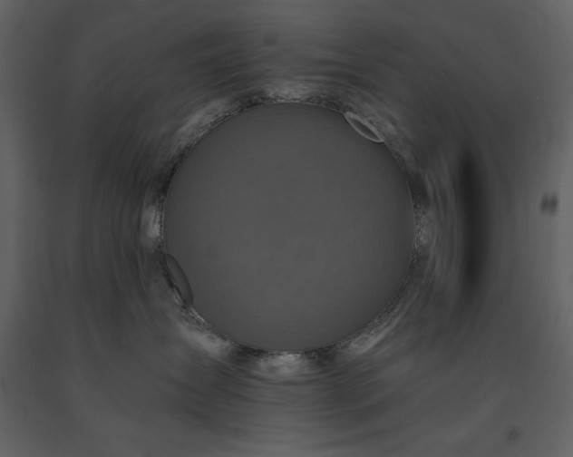 X0000091210431200708231612