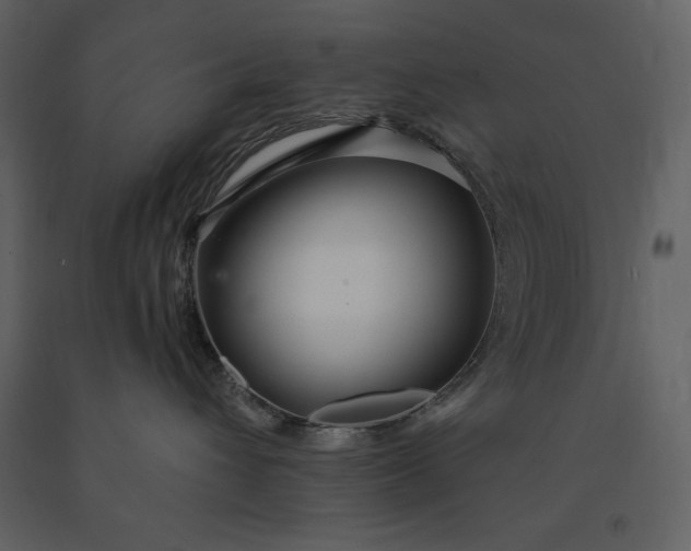 X0000091210432200708231612