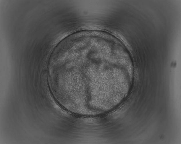 X0000091210433200708231611