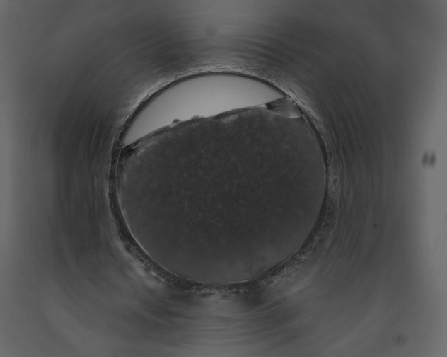 X0000091210434200708231611