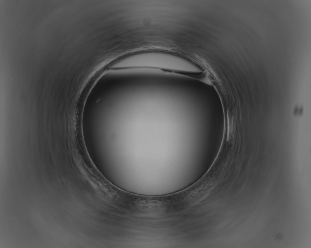 X0000091210435200708231611