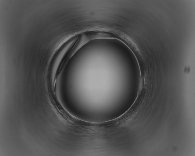 X0000091210436200708231611