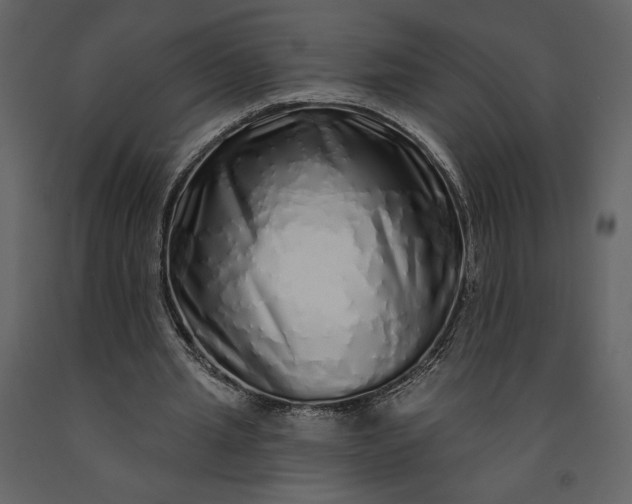 X0000091210437200708231611