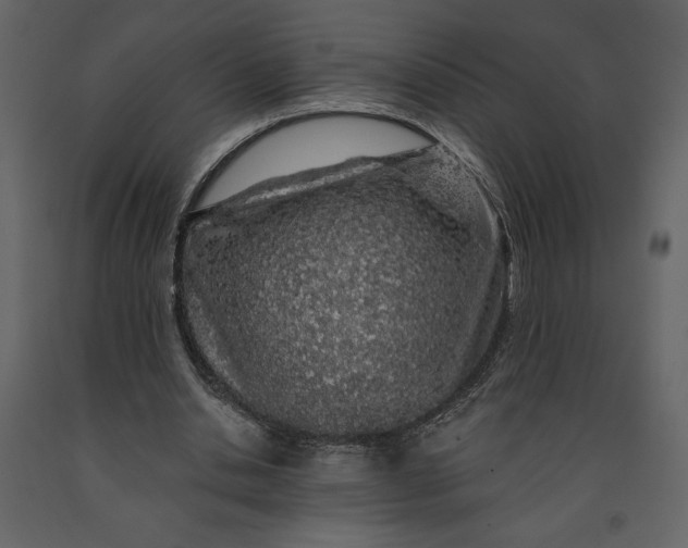 X0000091210438200708231611