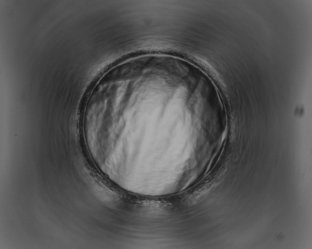 X0000091210439200708231611