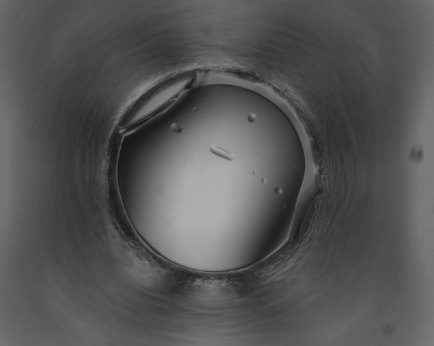 X0000091210440200708231611