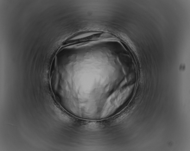 X0000091210441200708231611