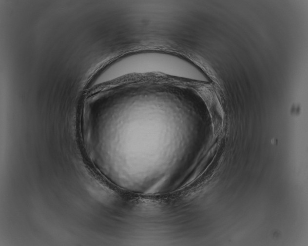 X0000091210442200708231611