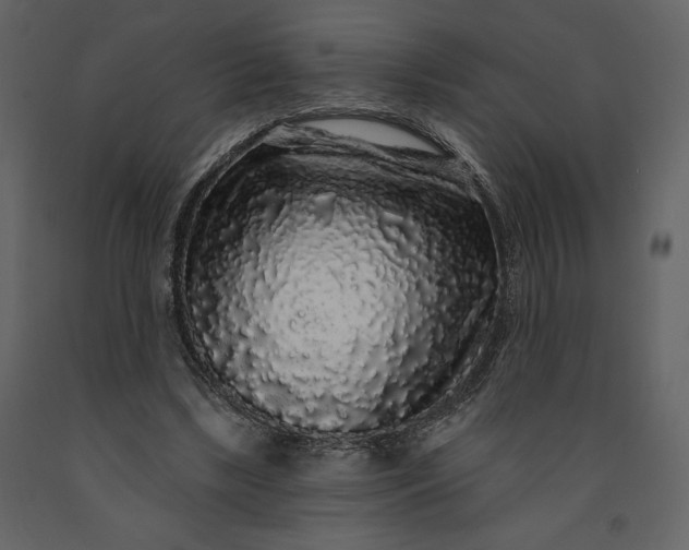 X0000091210443200708231611