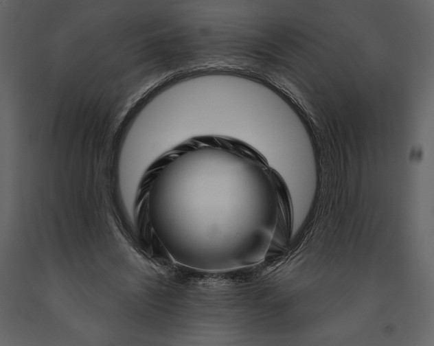 X0000091210444200708231611