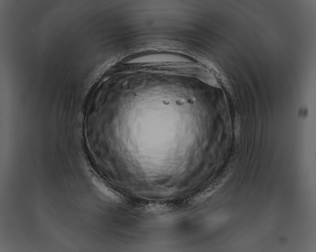 X0000091210445200708231611