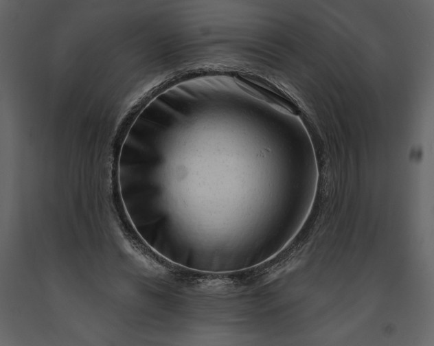 X0000091210446200708231611