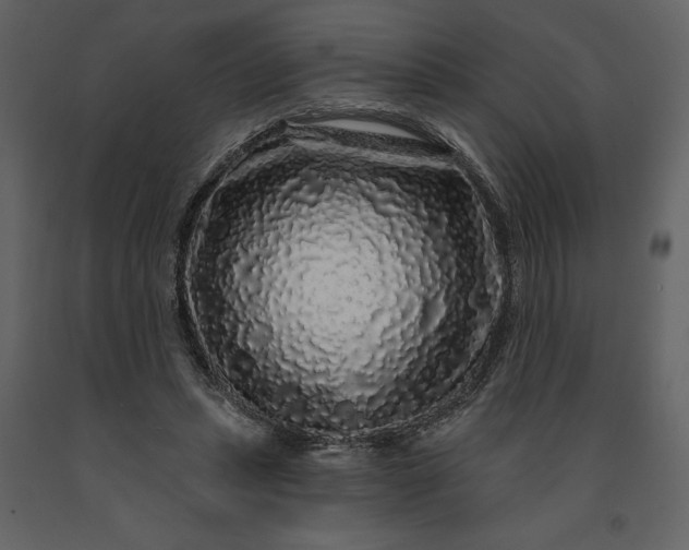 X0000091210447200708231611