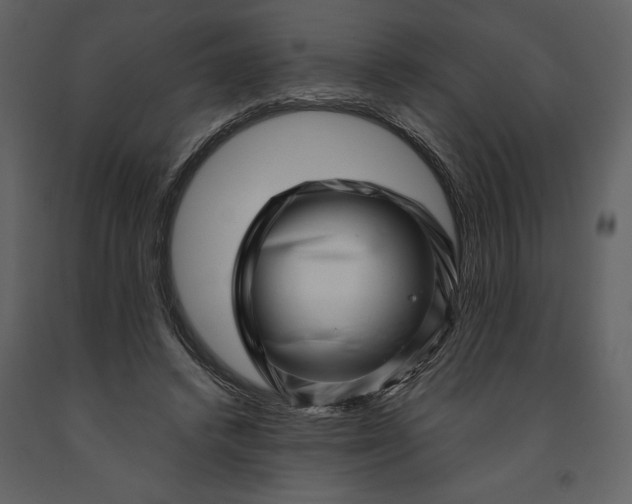 X0000091210448200708231611