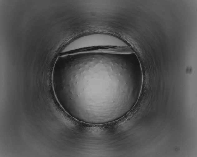 X0000091210449200708231611