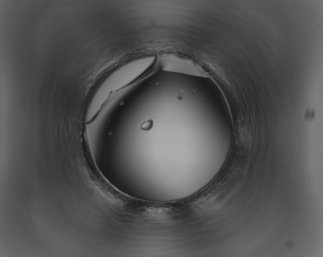 X0000091210450200708231611