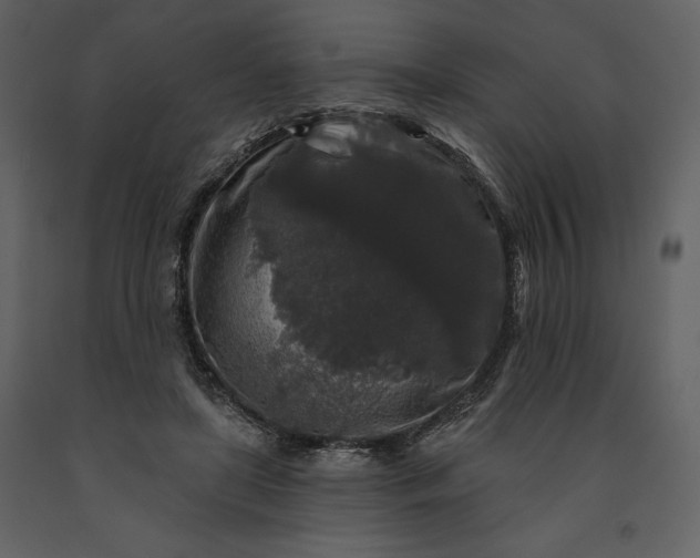 X0000091210451200708231611