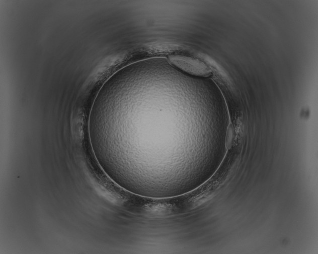 X0000091210452200708231611