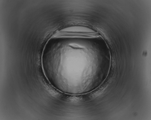 X0000091210453200708231611