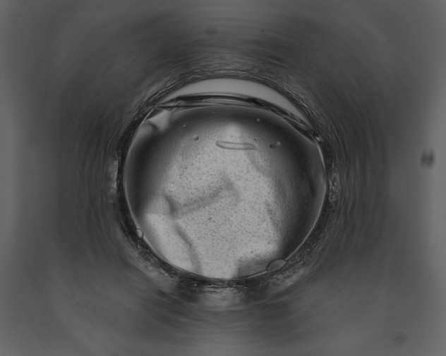 X0000091210454200708231611