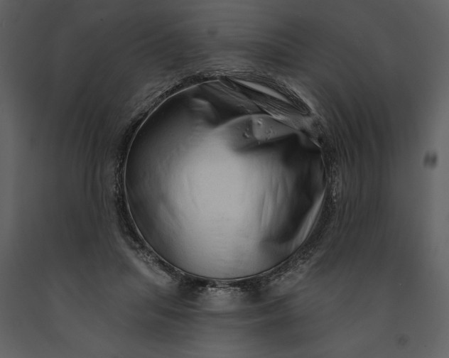 X0000091210455200708231611