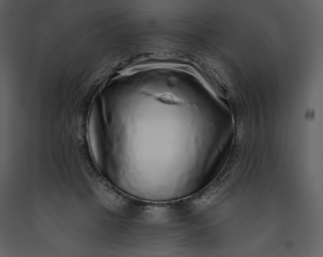 X0000091210457200708231611