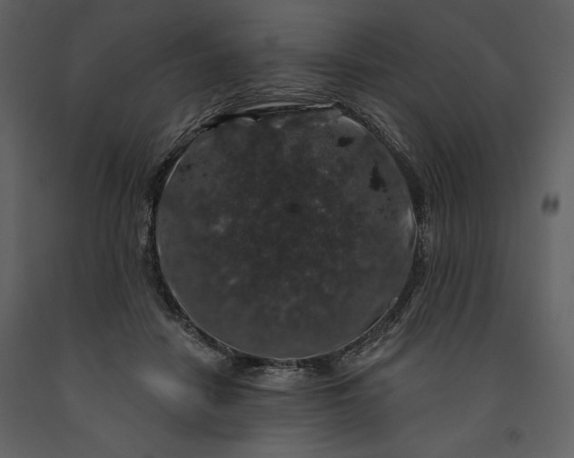 X0000091210458200708231611