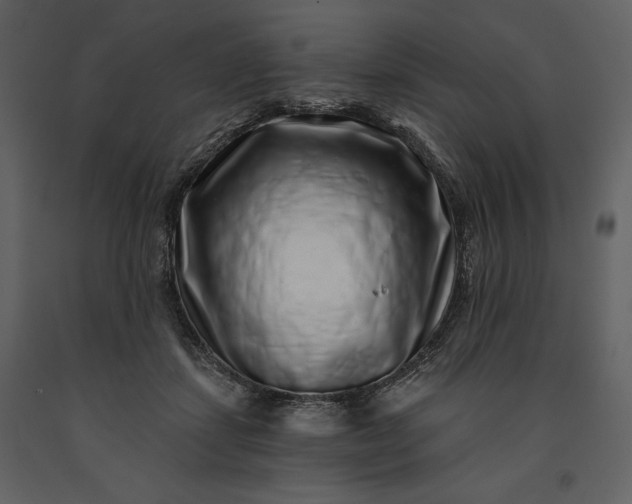 X0000091210459200708231611