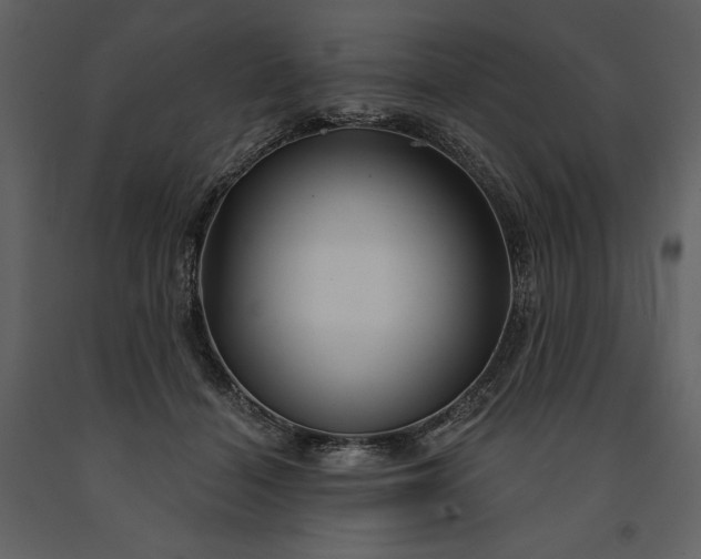 X0000091210460200708231611