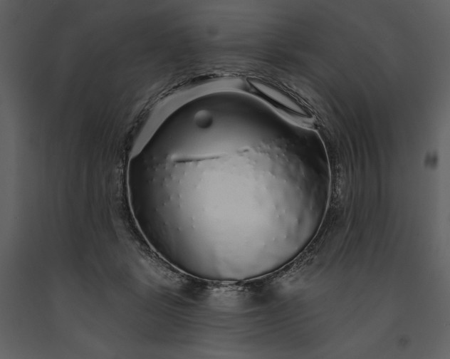 X0000091210461200708231611