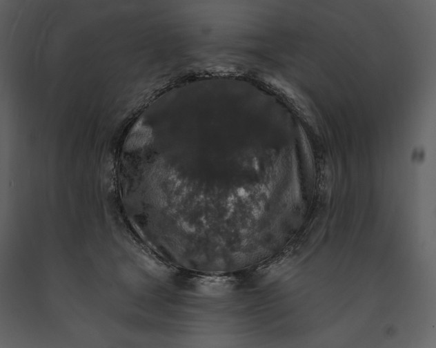 X0000091210465200708231612