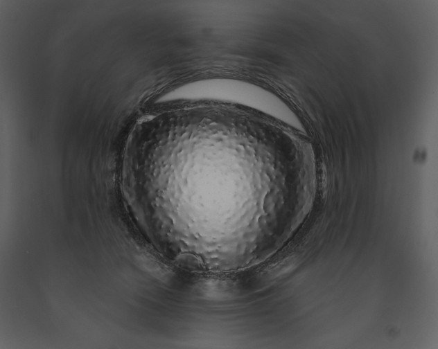 X0000091210466200708231612