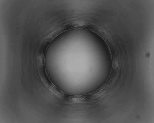 X0000091210468200708231612