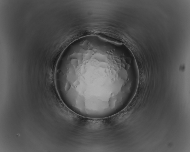 X0000091210469200708231612