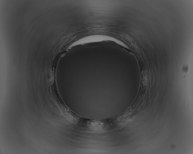 X0000091210471200708231612