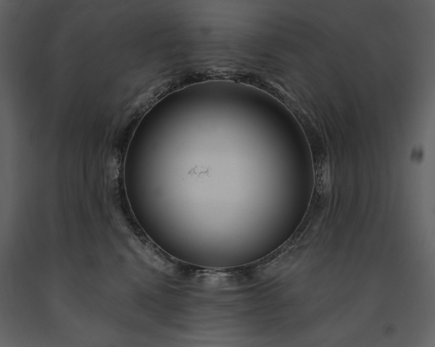 X0000091210472200708231612