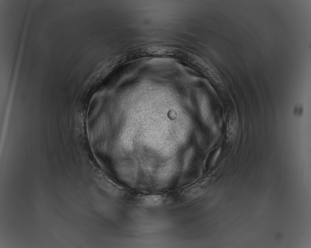 X0000091210473200708231612