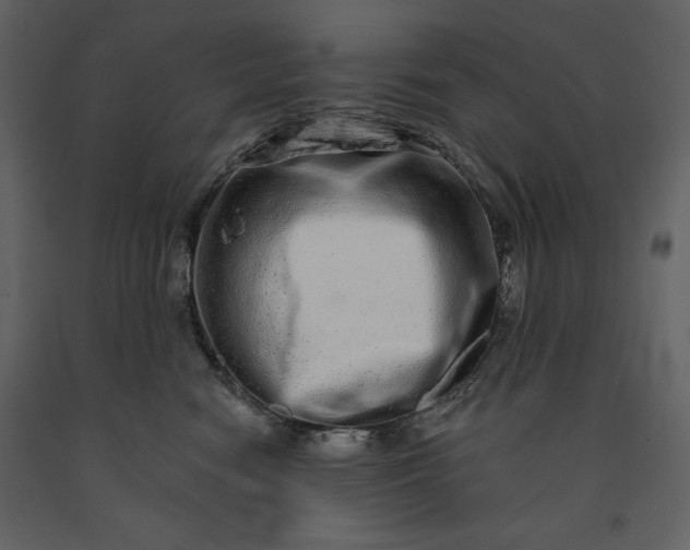 X0000091210474200708231612