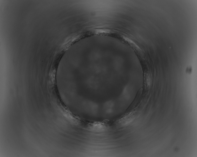 X0000091210475200708231612