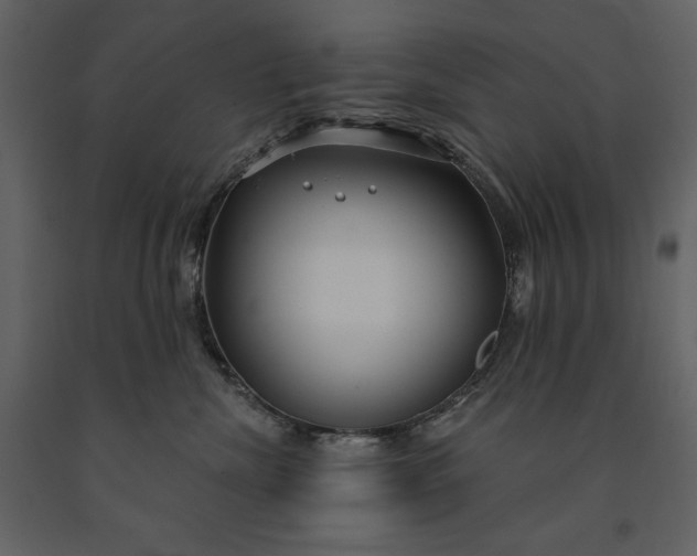 X0000091210476200708231612