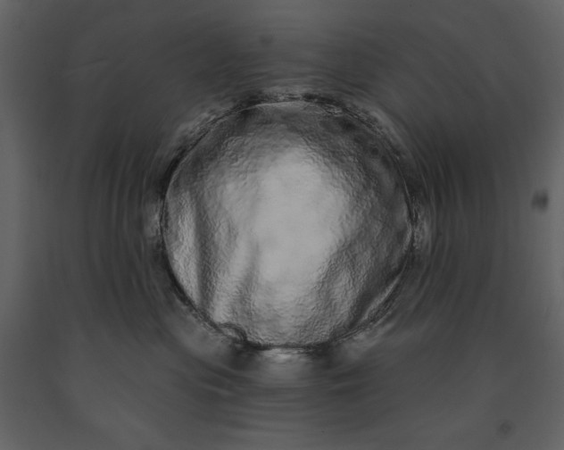 X0000091210477200708231612