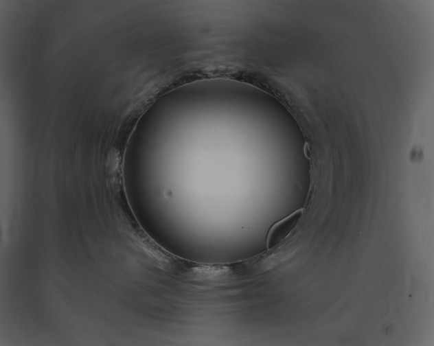 X0000091210480200708231612